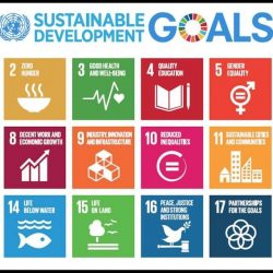 United Nations Sustainable Development Goals (SDG 2030)